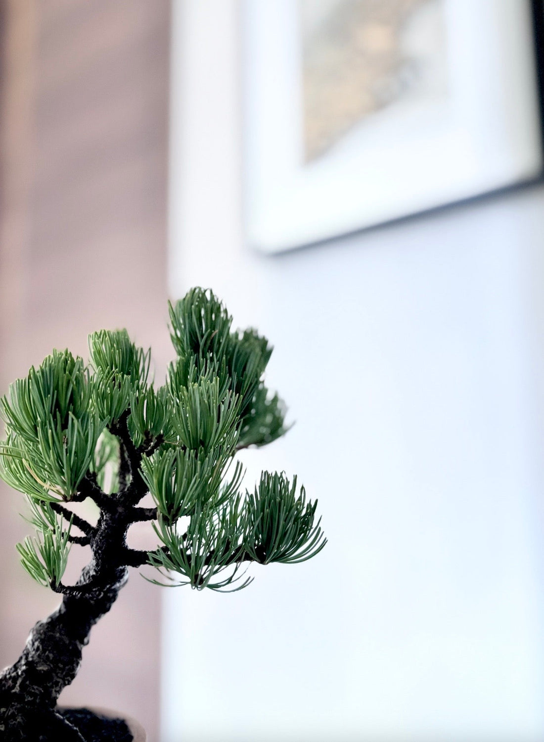 帯を飾るインテリア｜掛け軸のように楽しむ帯の飾り方