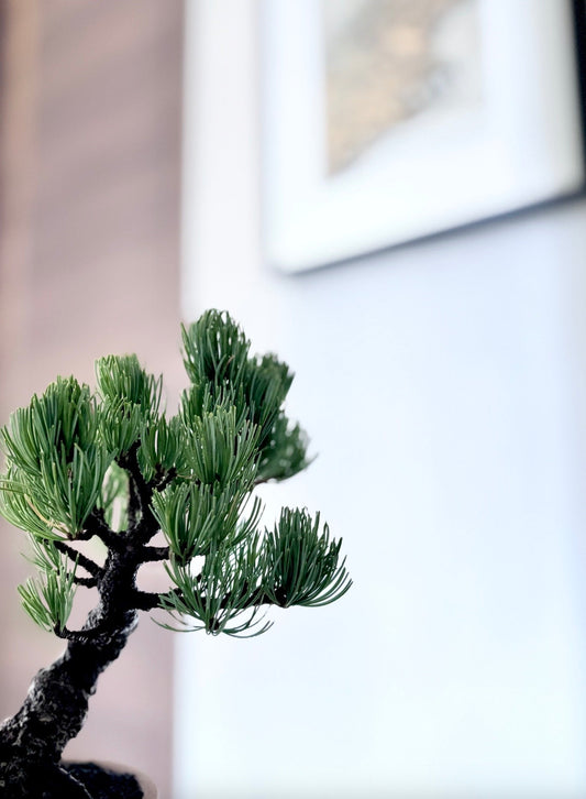 帯を飾るインテリア｜掛け軸のように楽しむ帯の飾り方